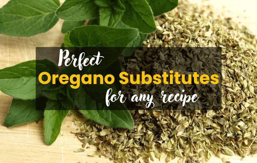 Best Oregano Substitutes