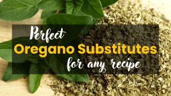 Oregano Substitutes