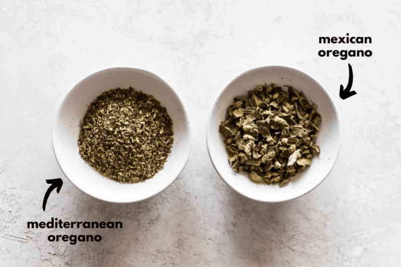 Mexican Oregano and Mediterranean Oregano