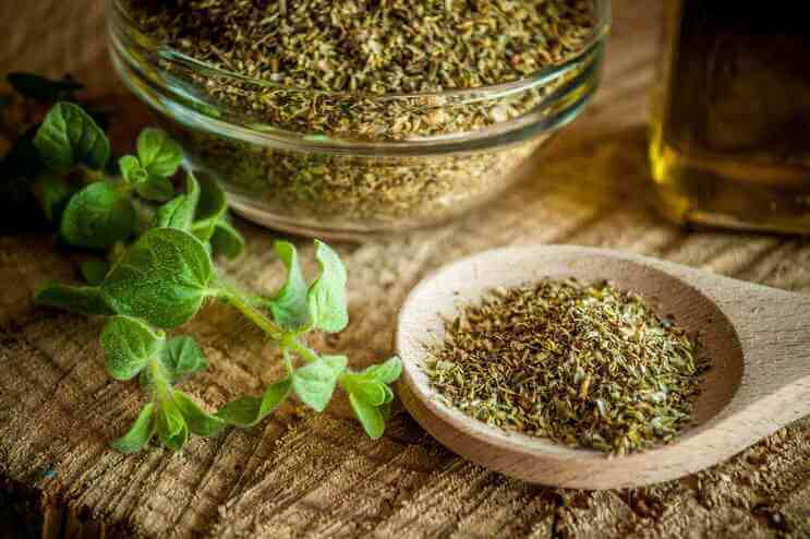 Oregano Substitutes